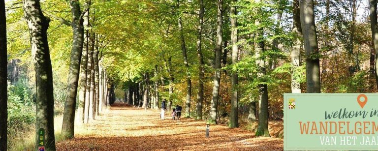 Herbstlicher Spaziergang im Wald: Willkommen im Wandergemeinde 2017