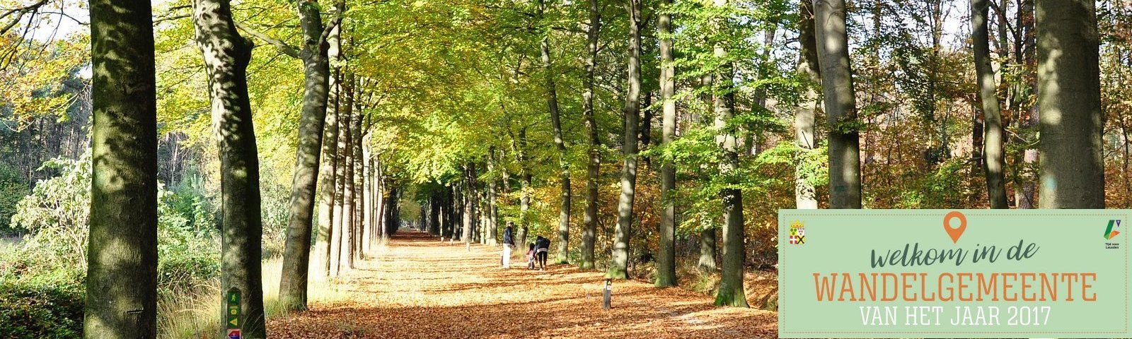 1706-leusden-wandelgemeente-2017 Herbstlicher Spaziergang im Wald: Willkommen im Wandergemeinde 2017