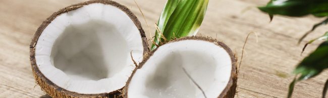 BF-Kokos-1600×480 Eine Kokosnuss geöffnet auf einem Holztisch mit einem Blatt.