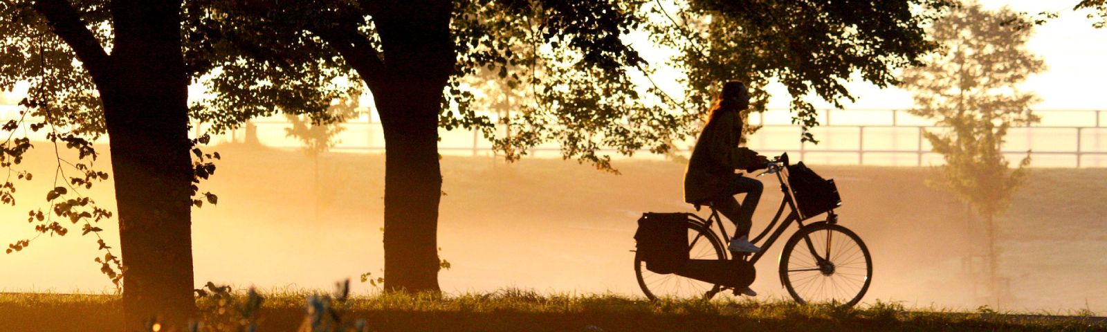 BF-beweeg-tips-1600×480 Frau radelt bei Sonnenaufgang für Fitness und Wohlbefinden.