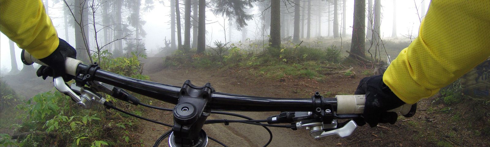 Gelbes Shirt auf einem Fahrrad im nebligen Wald: Fitness-Abenteuer.