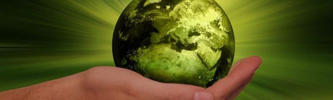 BF-duurzaam-voedsel-1600×480 Grüner Planet in menschlicher Hand. Nachhaltigkeit, Gesundheit und Fitness für eine bessere Welt.
