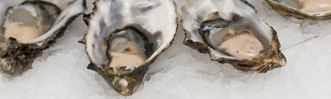 Frische Austern auf Eis: proteinreich, ideal für Fitness-Ernährung.