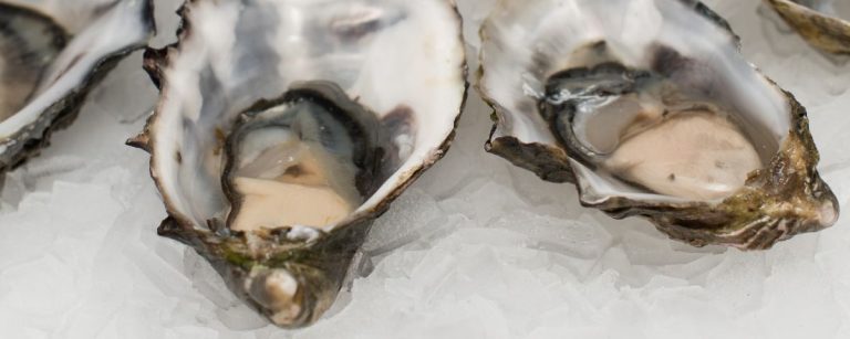 Frische Austern auf Eis: proteinreich, ideal für Fitness-Ernährung.