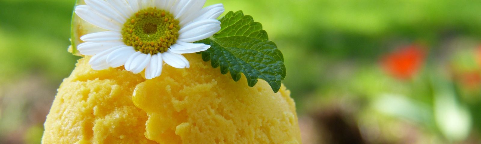 Gelbes Sorbet mit Blüte und Blatt – erfrischend und gesund für dein Training.