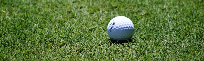 BF-sport-en-inkomen-1600×480 Golfball im Gras: Ideale Trainingsbedingungen für Fitness und Ernährung.