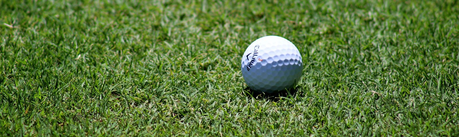 Golfball im Gras: Ideale Trainingsbedingungen für Fitness und Ernährung.
