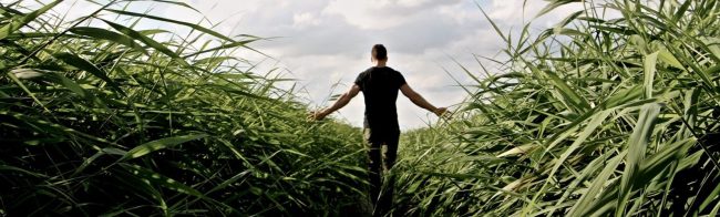 Mann in schwarzem Shirt und Hose läuft durch hohes Gras und streckt die Arme aus.