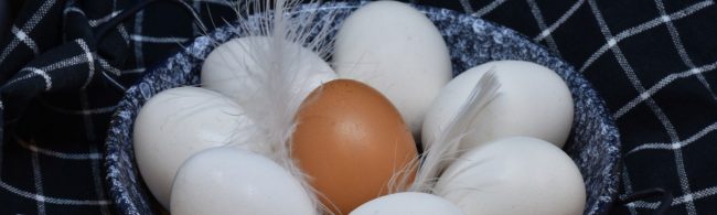 Ein braunes Ei hebt sich von weißen Eiern in einem Körbchen ab, umgeben von Federn, ideal für Fitness-Ernährung.