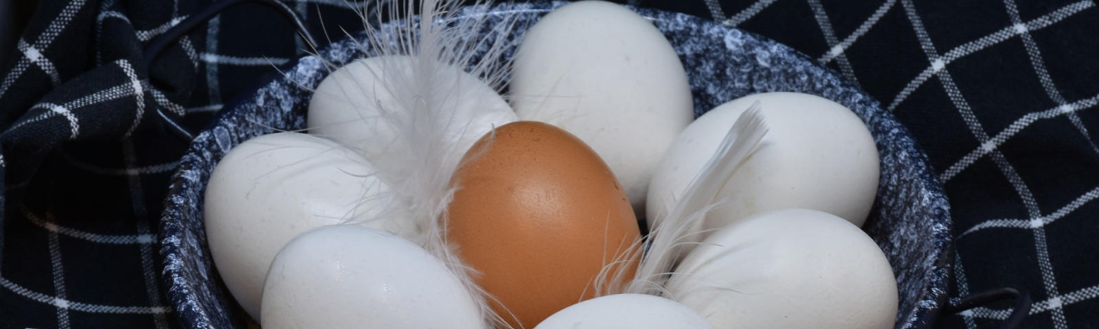 Ein braunes Ei hebt sich von weißen Eiern in einem Körbchen ab, umgeben von Federn, ideal für Fitness-Ernährung.