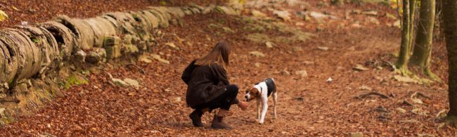 Frau kniet mit Hund im Wald, gesunde Bewegung für ein aktives Leben.