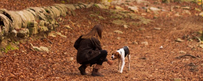Frau kniet mit Hund im Wald, gesunde Bewegung für ein aktives Leben.