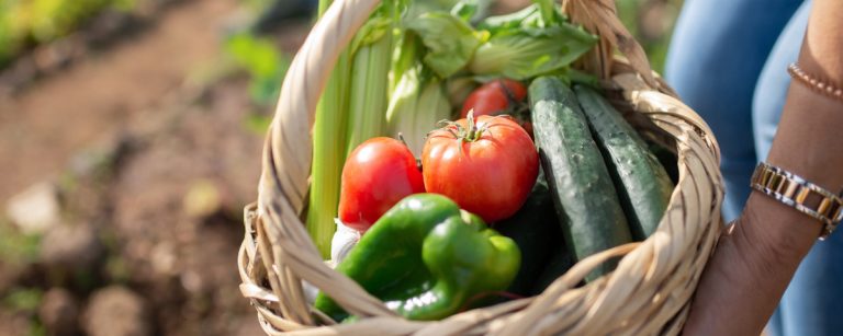 Light spring meal concept with fresh green vegetables and seasonal produce